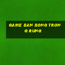 game ban bong trong rung