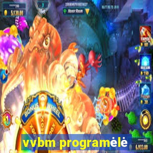 vvbm programėlė