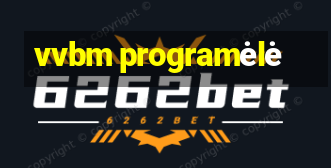 vvbm programėlė