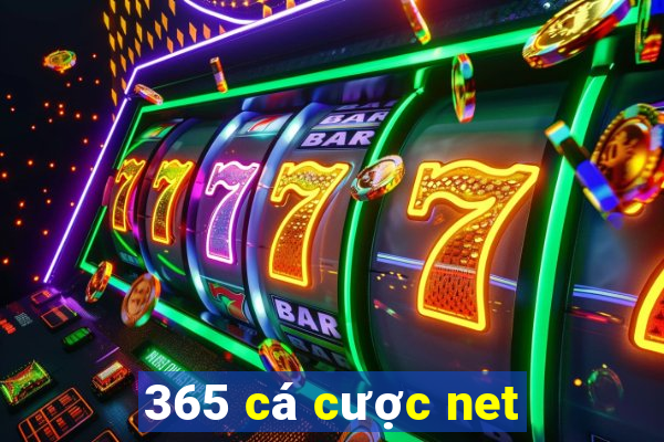 365 cá cược net