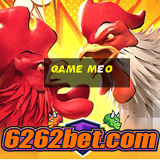 game mèo