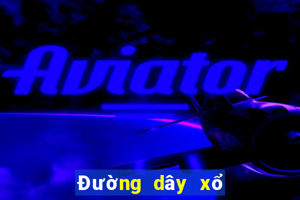 Đường dây xổ số 8