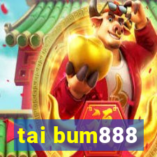 tai bum888