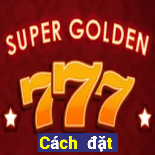 Cách đặt cược XSQT ngày 12