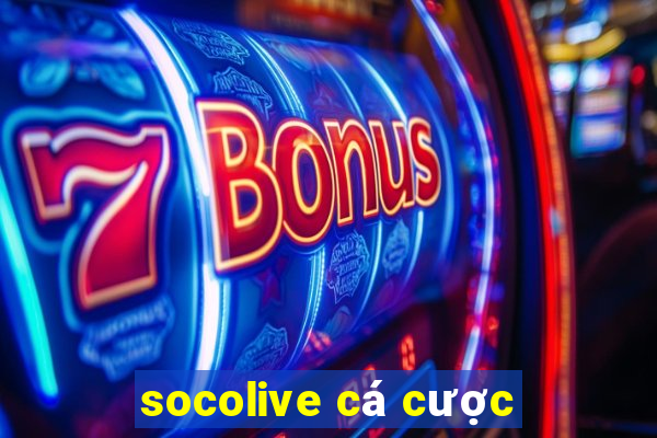 socolive cá cược