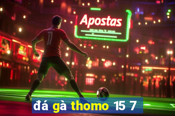 đá gà thomo 15 7