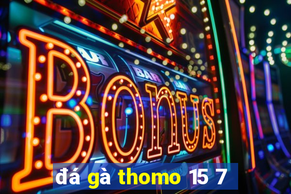 đá gà thomo 15 7