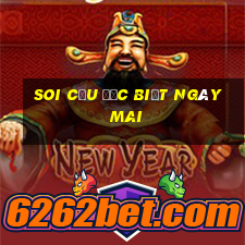 soi cầu đặc biệt ngày mai