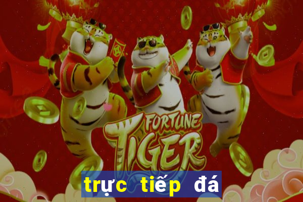 trực tiếp đá gà cựa dao