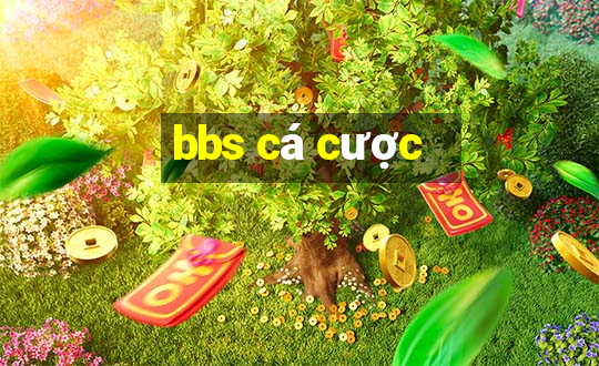 bbs cá cược