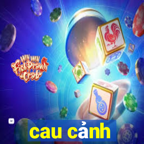 cau cảnh