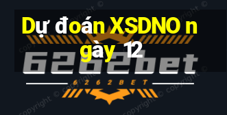 Dự đoán XSDNO ngày 12