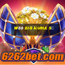 W88 Big Huma sẽ