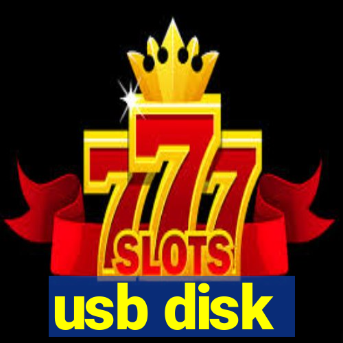 usb disk