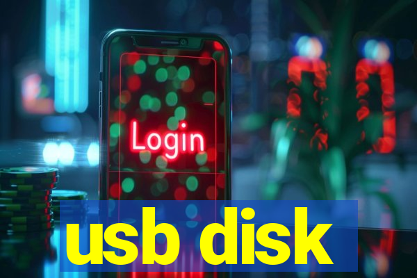 usb disk