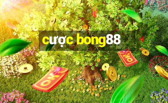 cược bong88