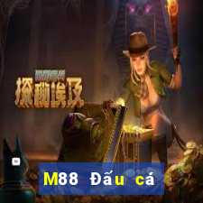 M88 Đấu cá cào vé số