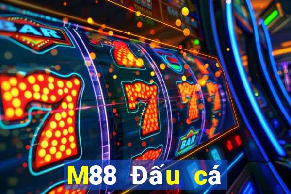 M88 Đấu cá cào vé số