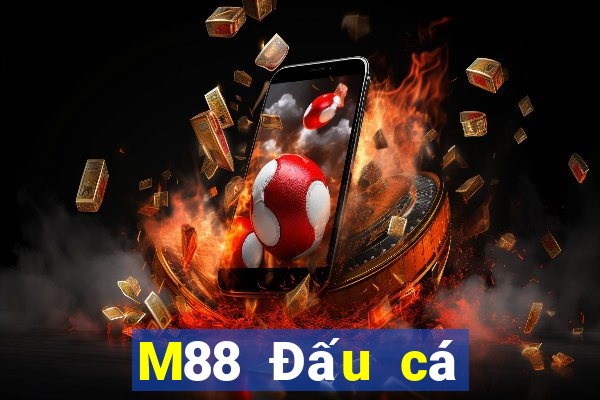 M88 Đấu cá cào vé số