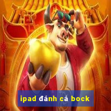 ipad đánh cá bock