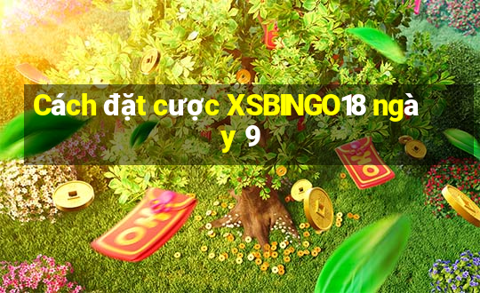 Cách đặt cược XSBINGO18 ngày 9