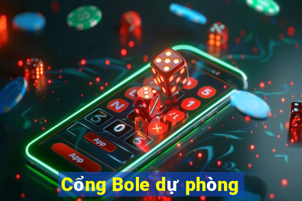 Cổng Bole dự phòng