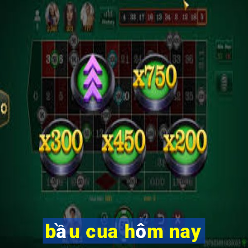 bầu cua hôm nay