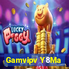 Gamvipv Y8Ma