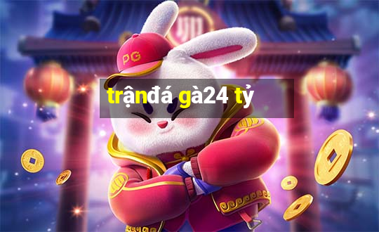 trận đá gà 24 tỷ