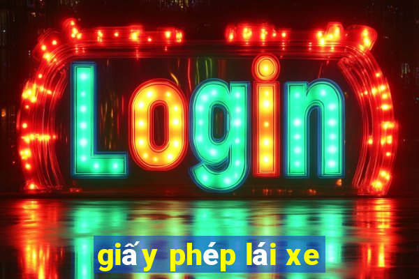 giấy phép lái xe