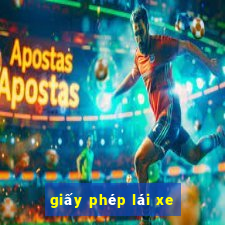 giấy phép lái xe