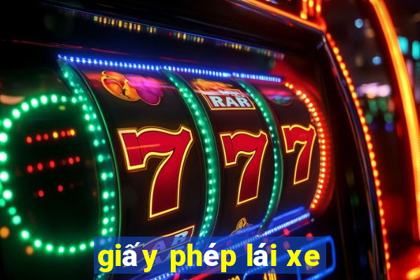 giấy phép lái xe