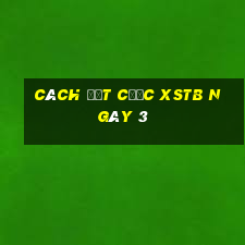 Cách đặt cược XSTB ngày 3