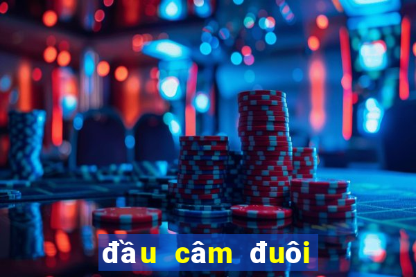 đầu câm đuôi câm là gì