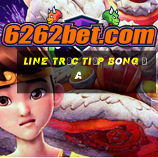 line trực tiếp bóng đá