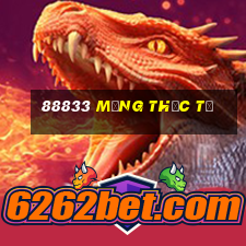 88833 Mạng thực tế