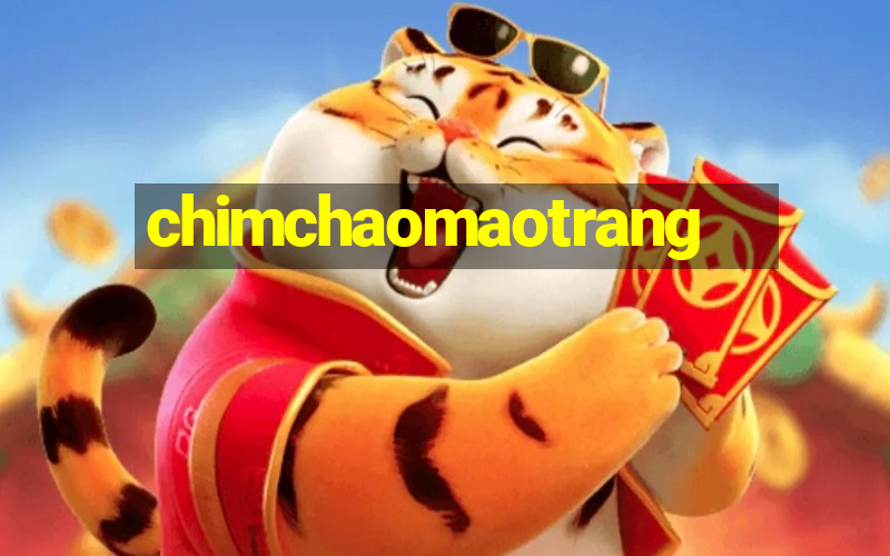 chimchaomaotrang