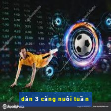 dàn 3 càng nuôi tuần