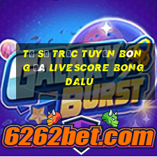 tỷ số trực tuyến bóng đá livescore bongdalu