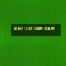 khi đầu đuôi câm