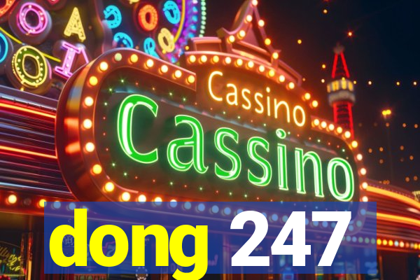 dong 247