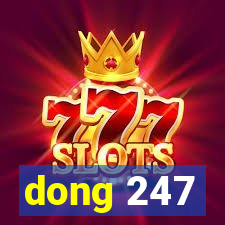 dong 247