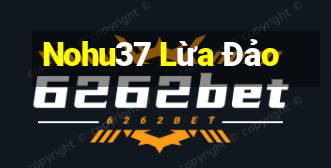 Nohu37 Lừa Đảo