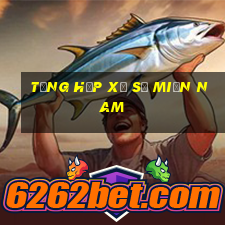 tổng hợp xổ số miền nam