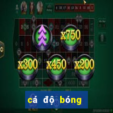 cá độ bóng đá dkbl