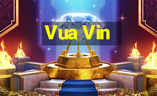 Vua Vin