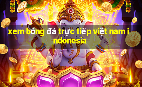 xem bóng đá trực tiếp việt nam indonesia