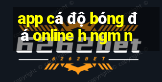 app cá độ bóng đá online h ngm n