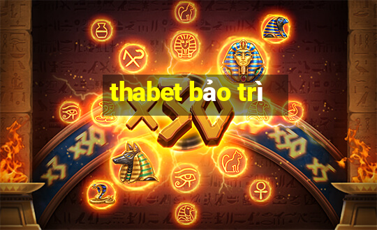 thabet bảo trì