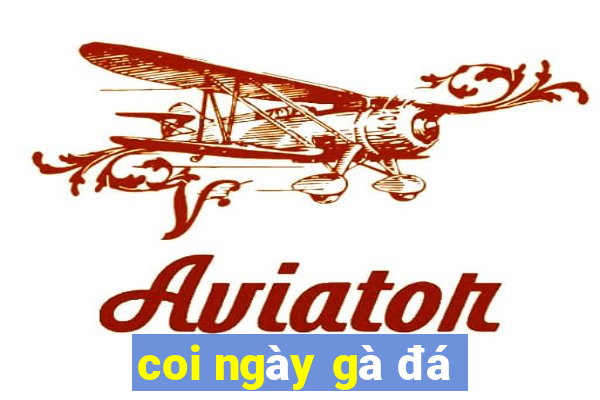 coi ngày gà đá